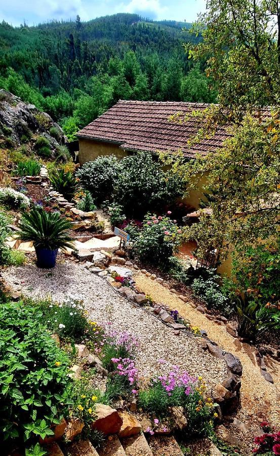 Quinta Do Cabril Apartamento Serpins Exterior foto